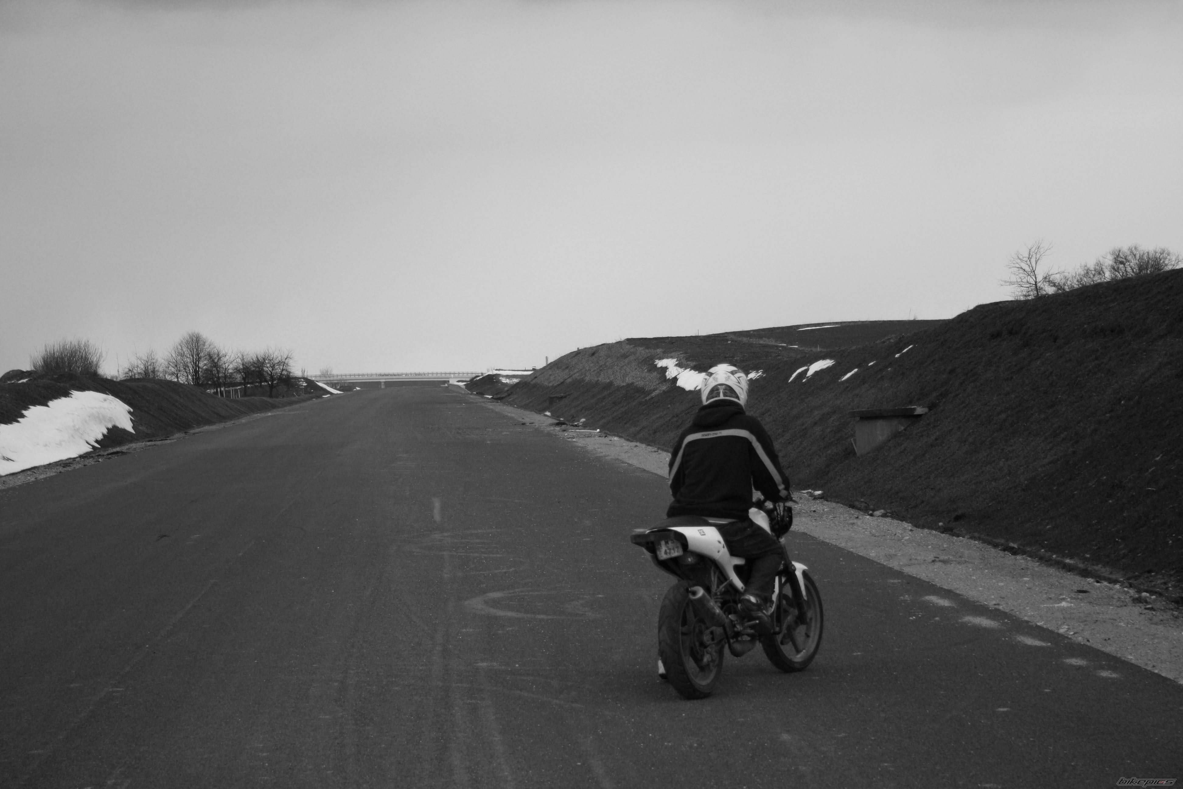 Photo 1613268