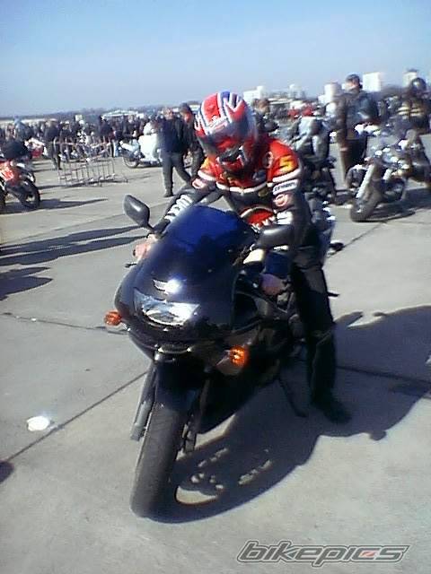 Photo 161341