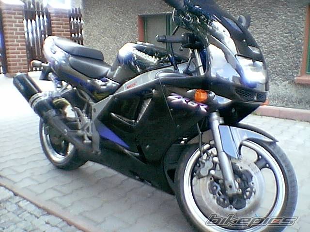 Photo 161346