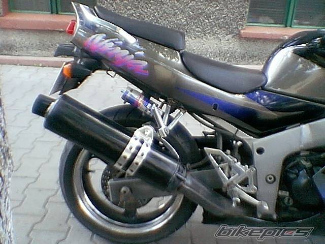 Photo 161348