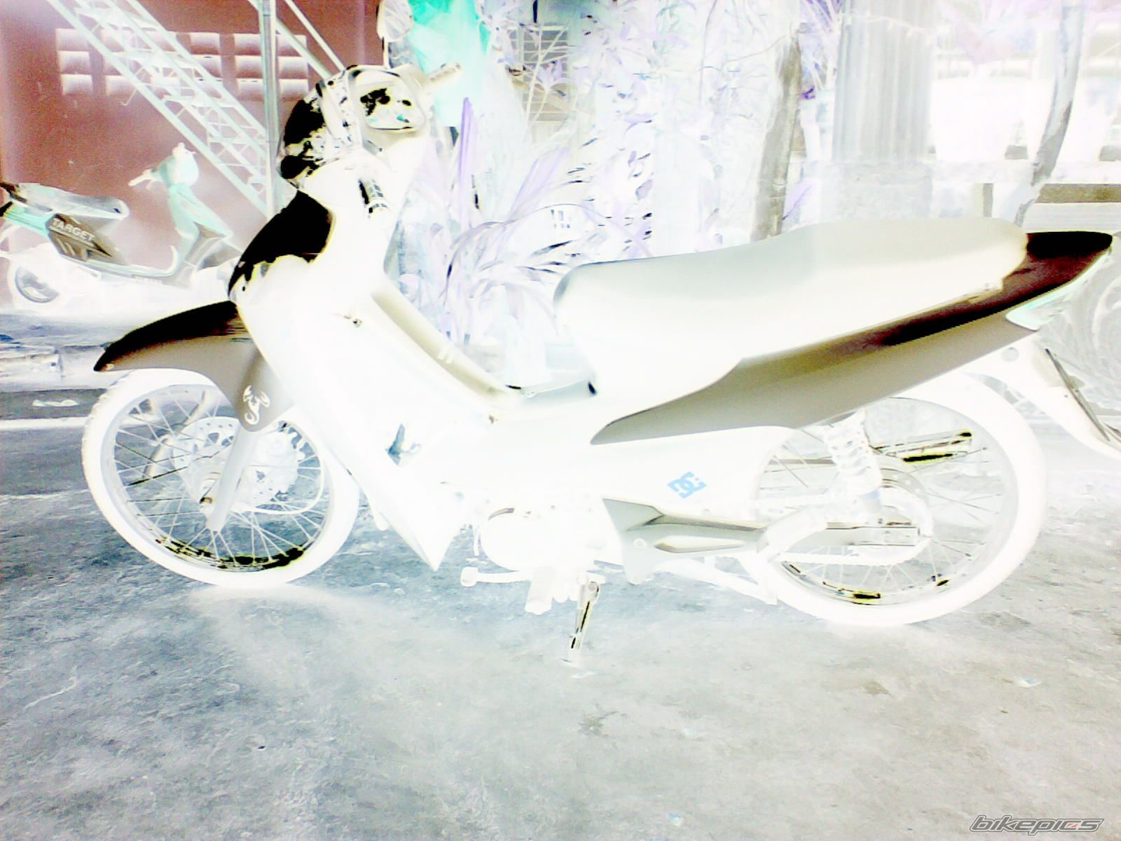 Photo 1613498