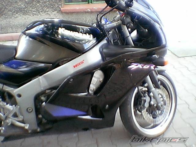 Photo 161352