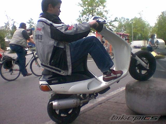 Photo 161372