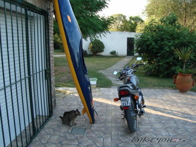 Photo 1613729