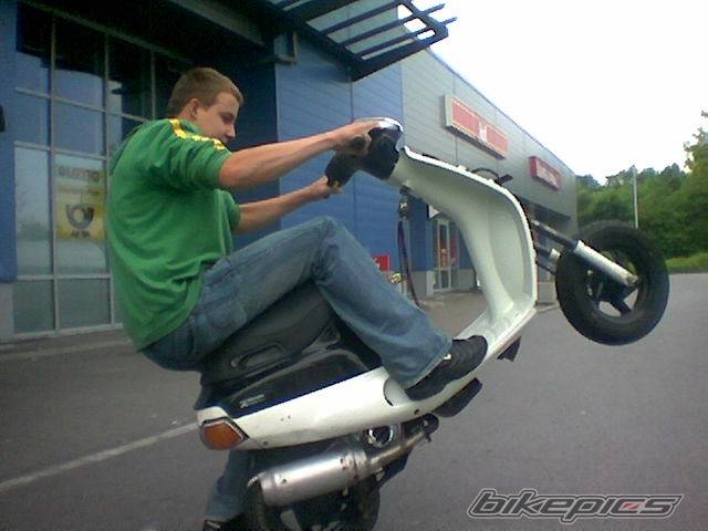 Photo 161377