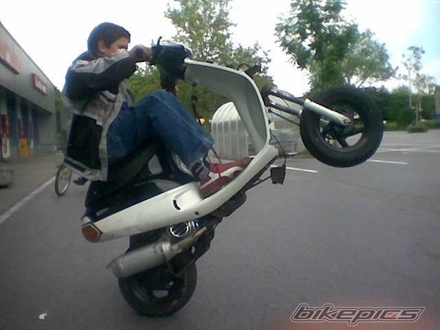 Photo 161381
