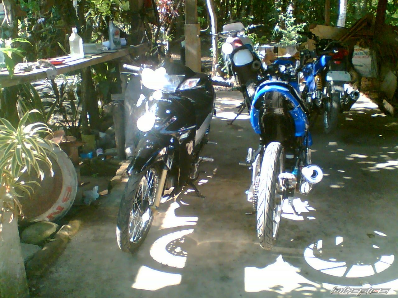 Photo 1613824