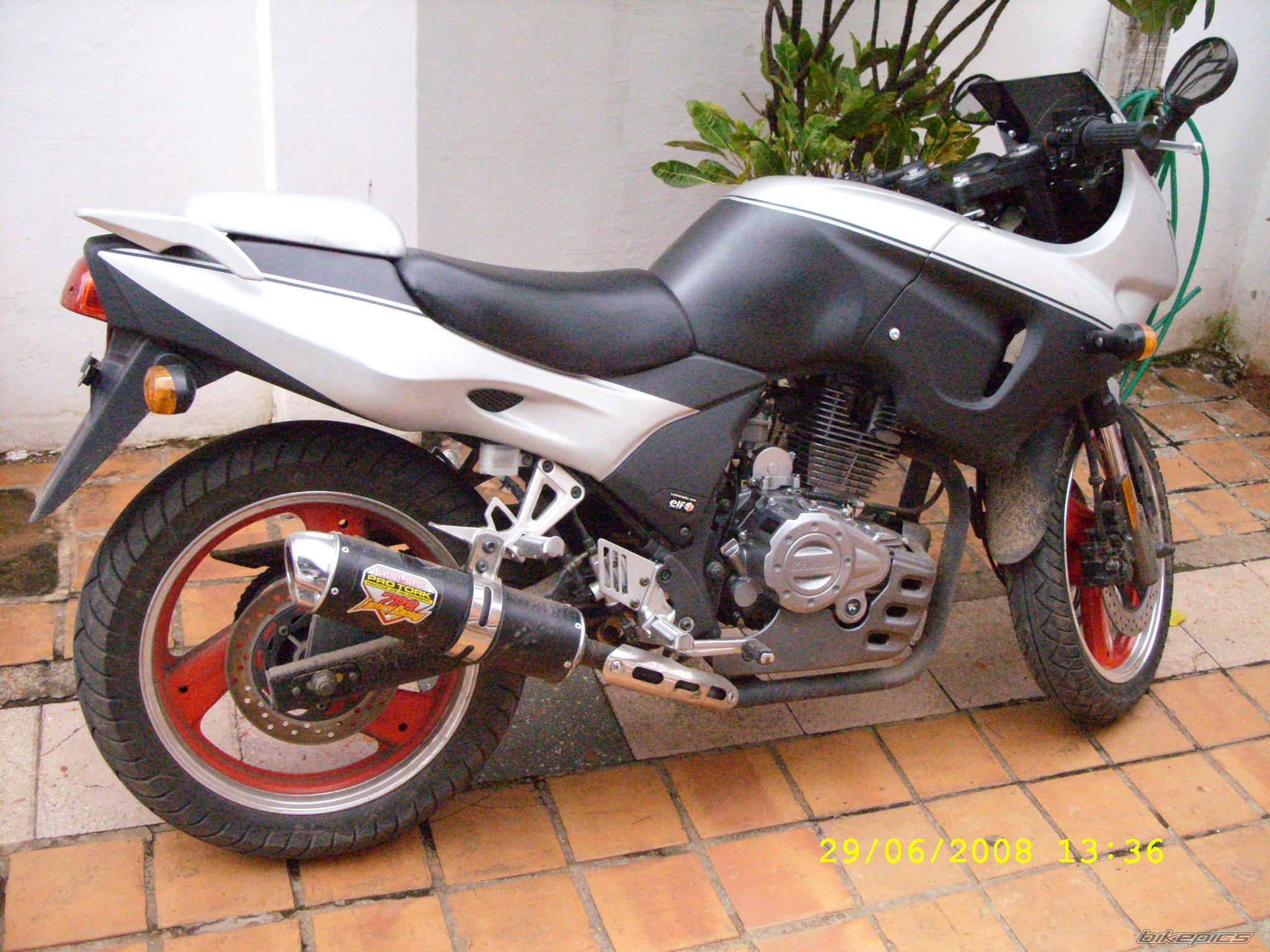 Photo 1613851