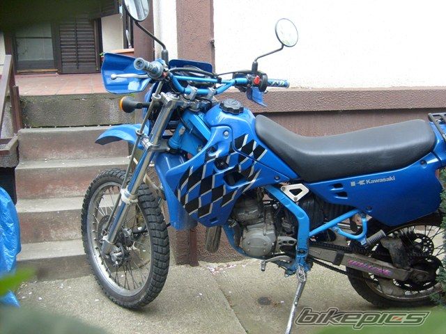 Photo 1613907