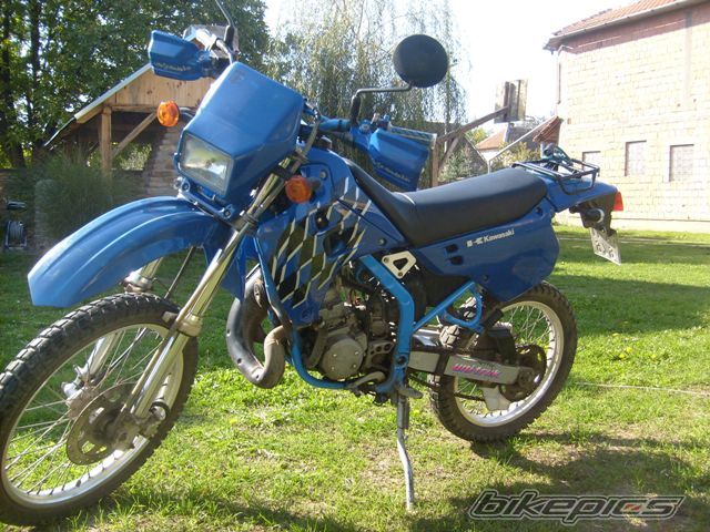 Photo 1613909