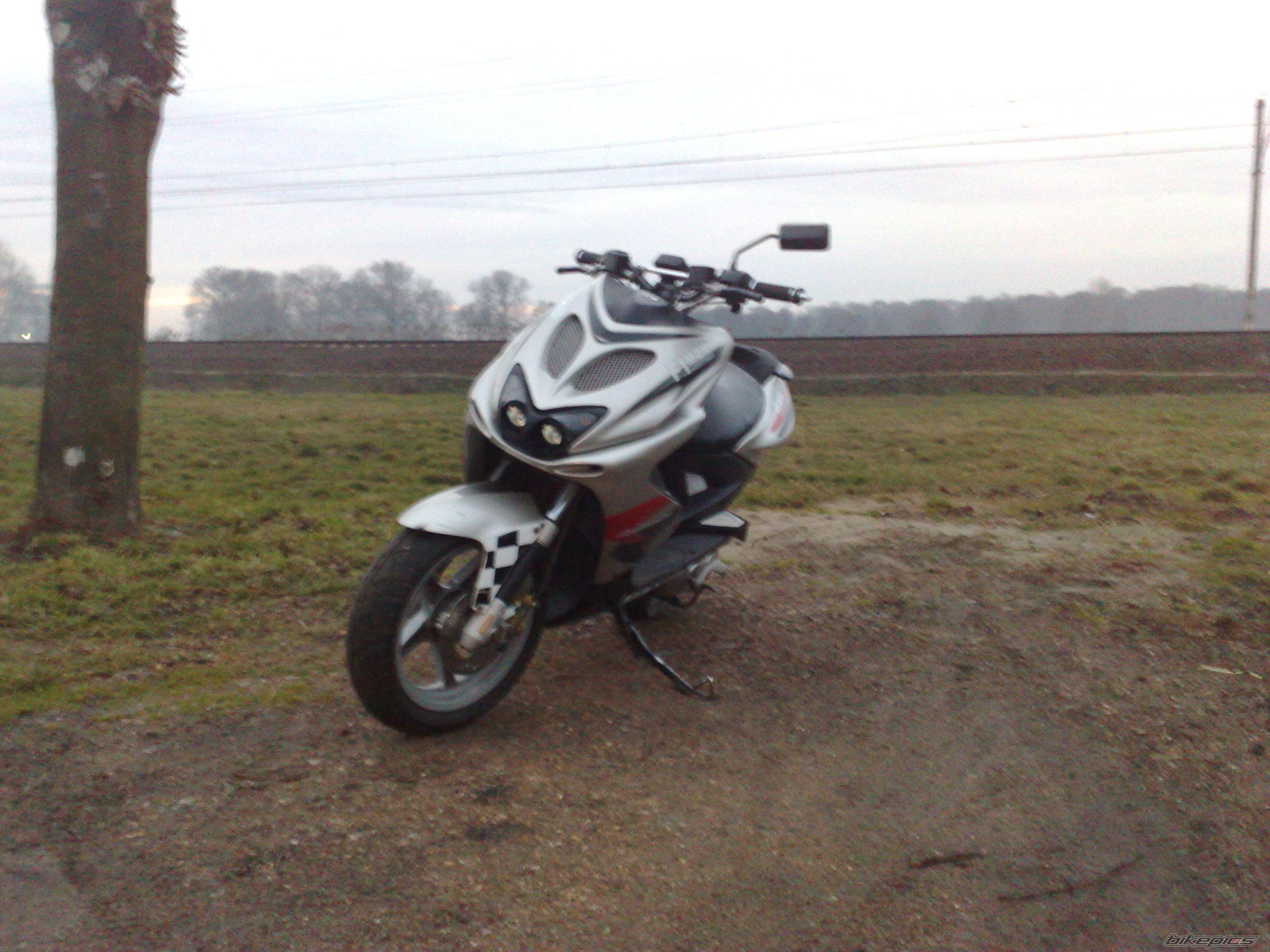 Photo 1613937