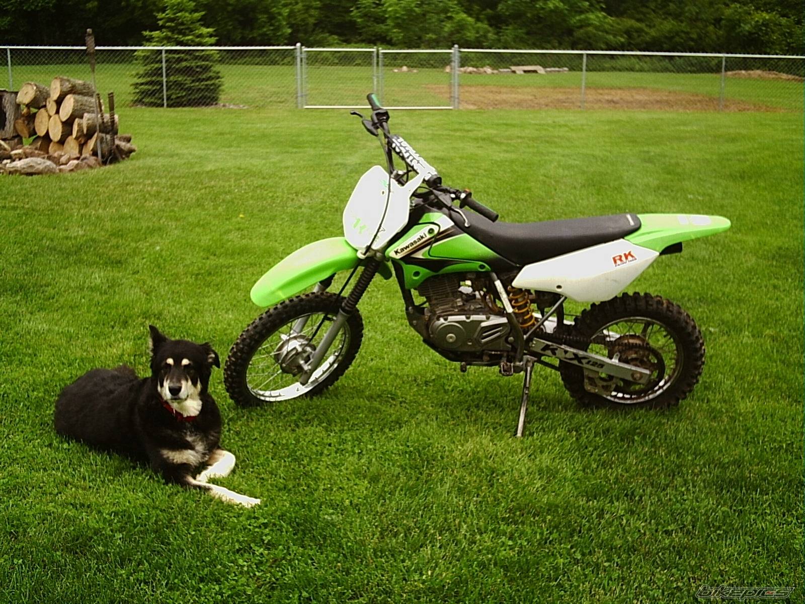 Bike Photo 161402