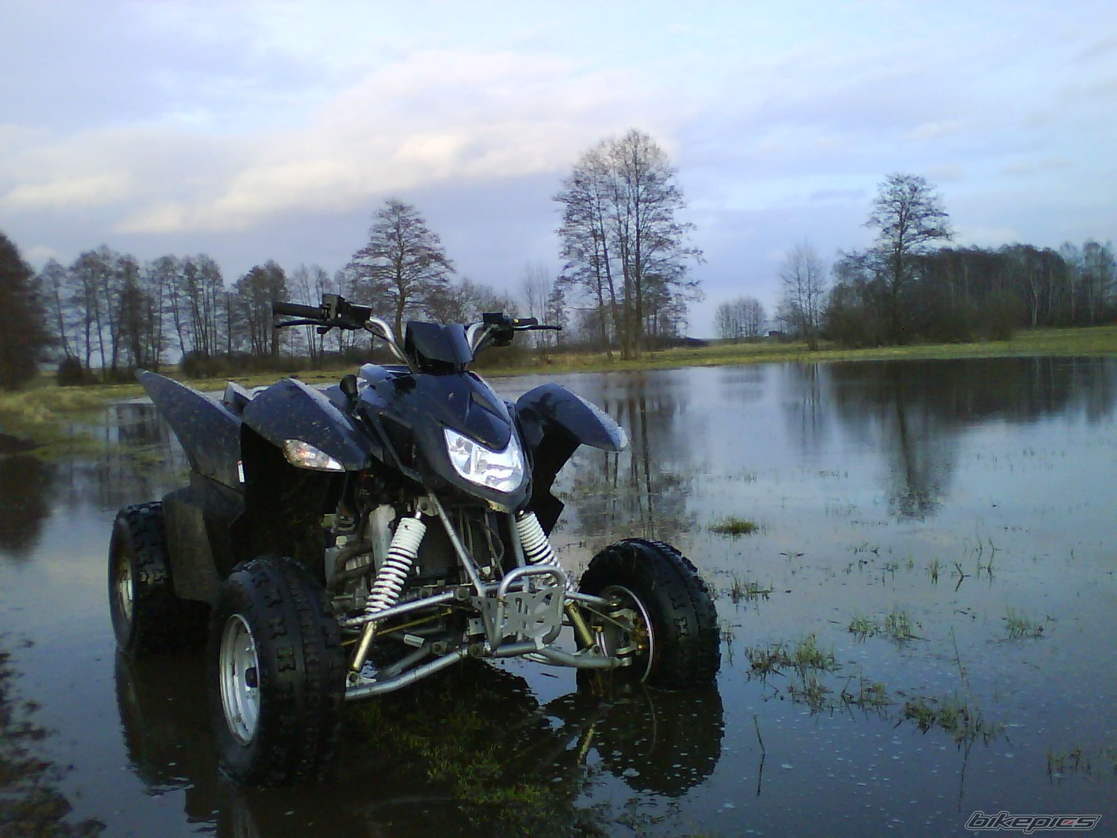 Photo 1614068
