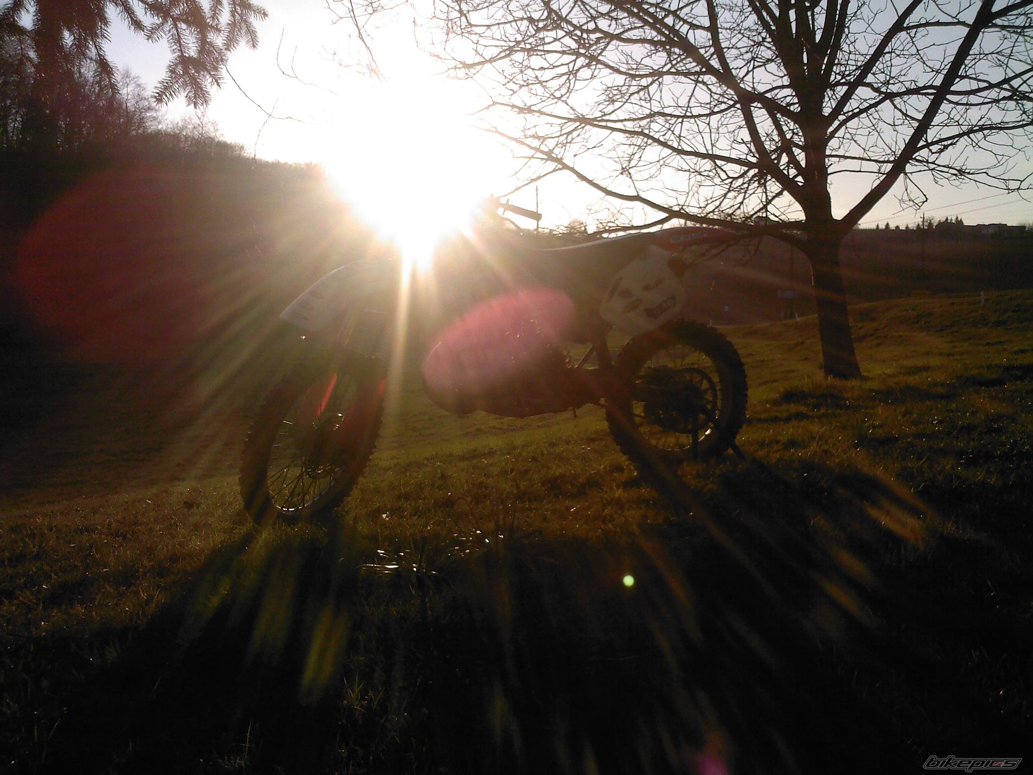 Photo 1614073
