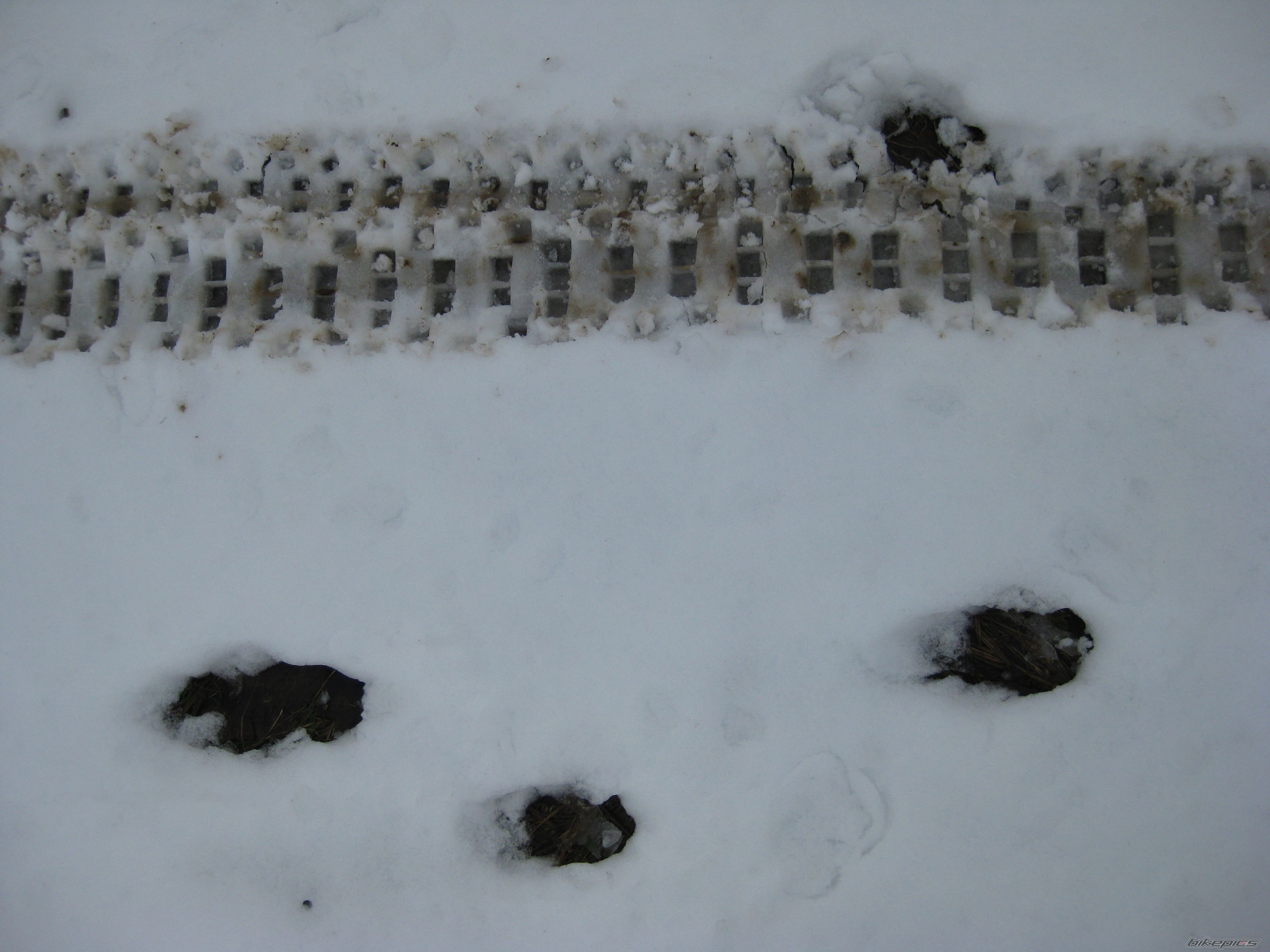 Photo 1614261