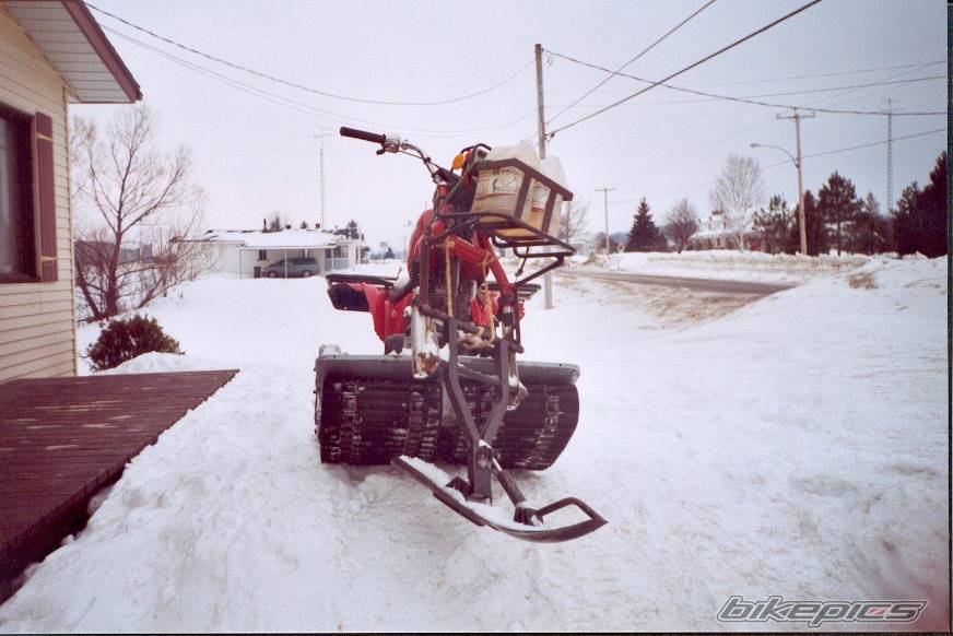 Photo 161435