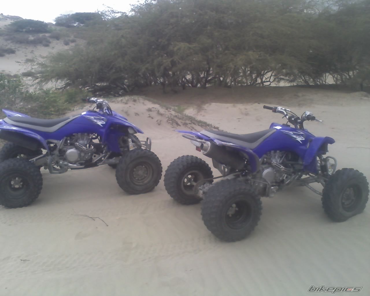 Photo 1614381