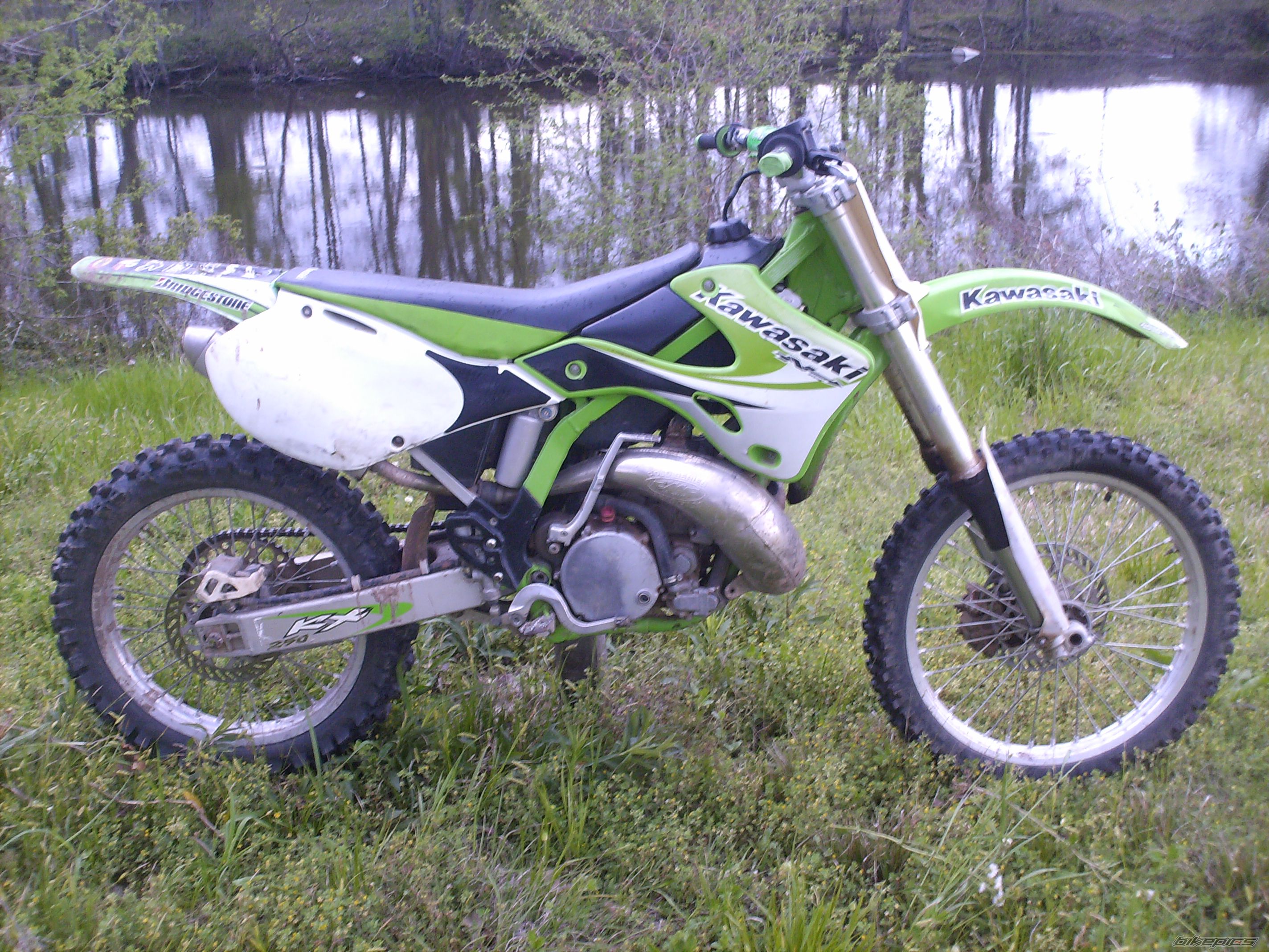 Photo 1614391