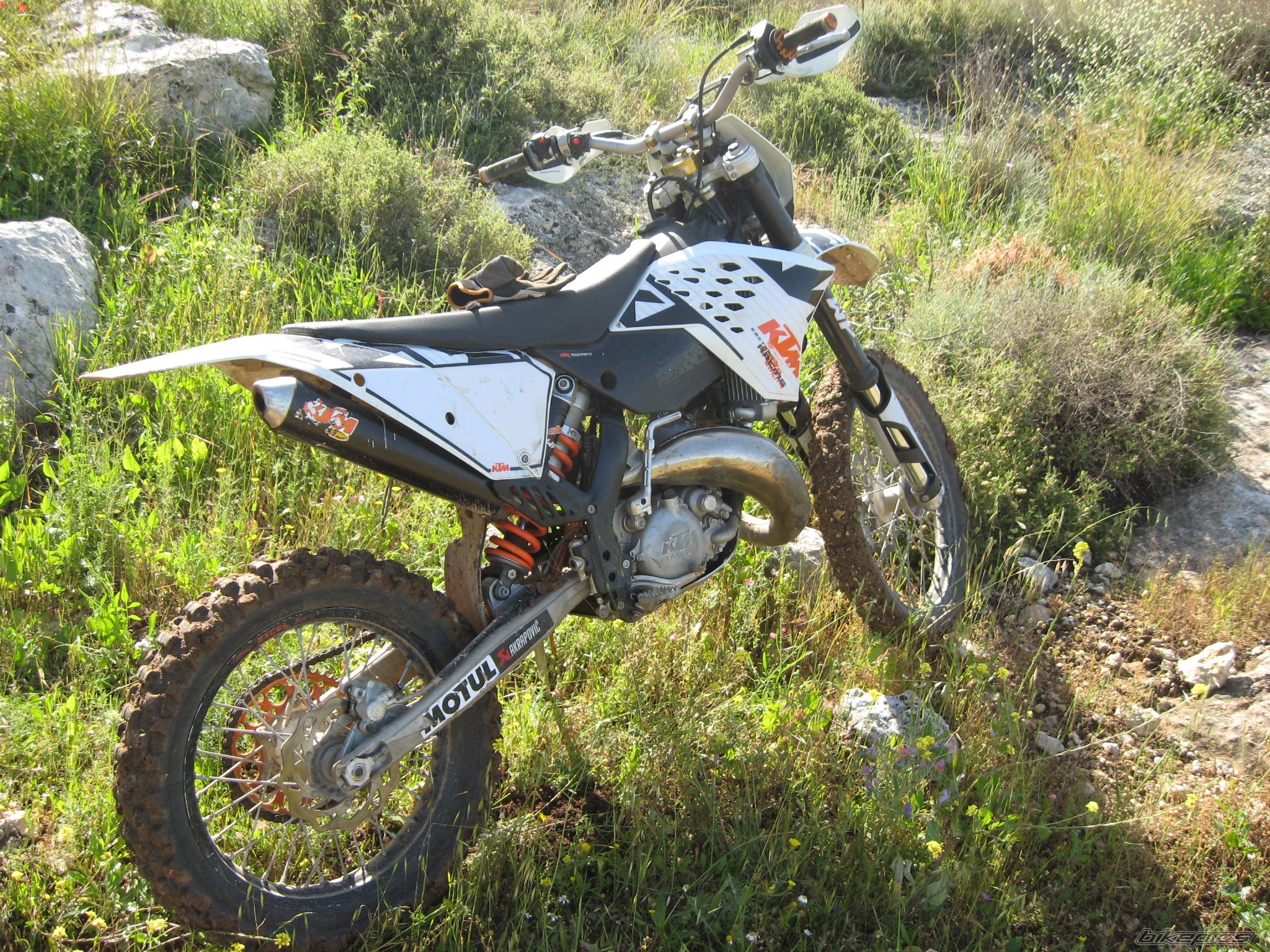 Photo 1614423