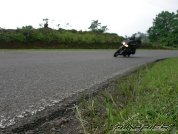 Photo 1614424