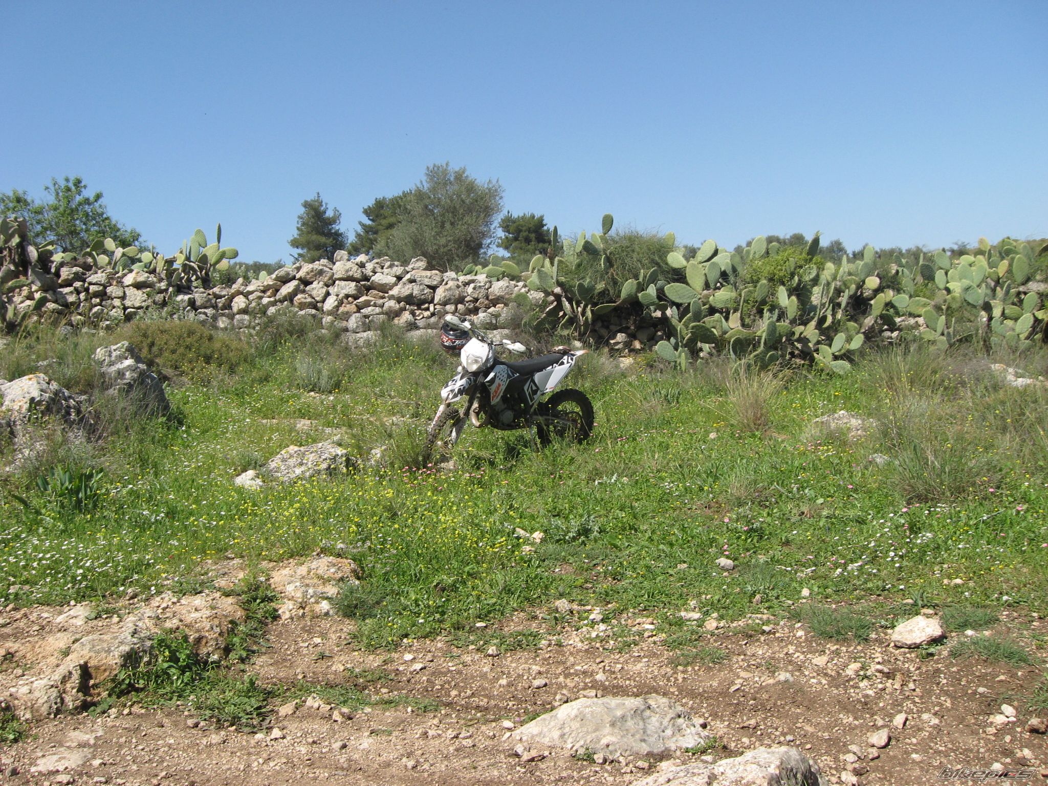 Bike Photo 1614425