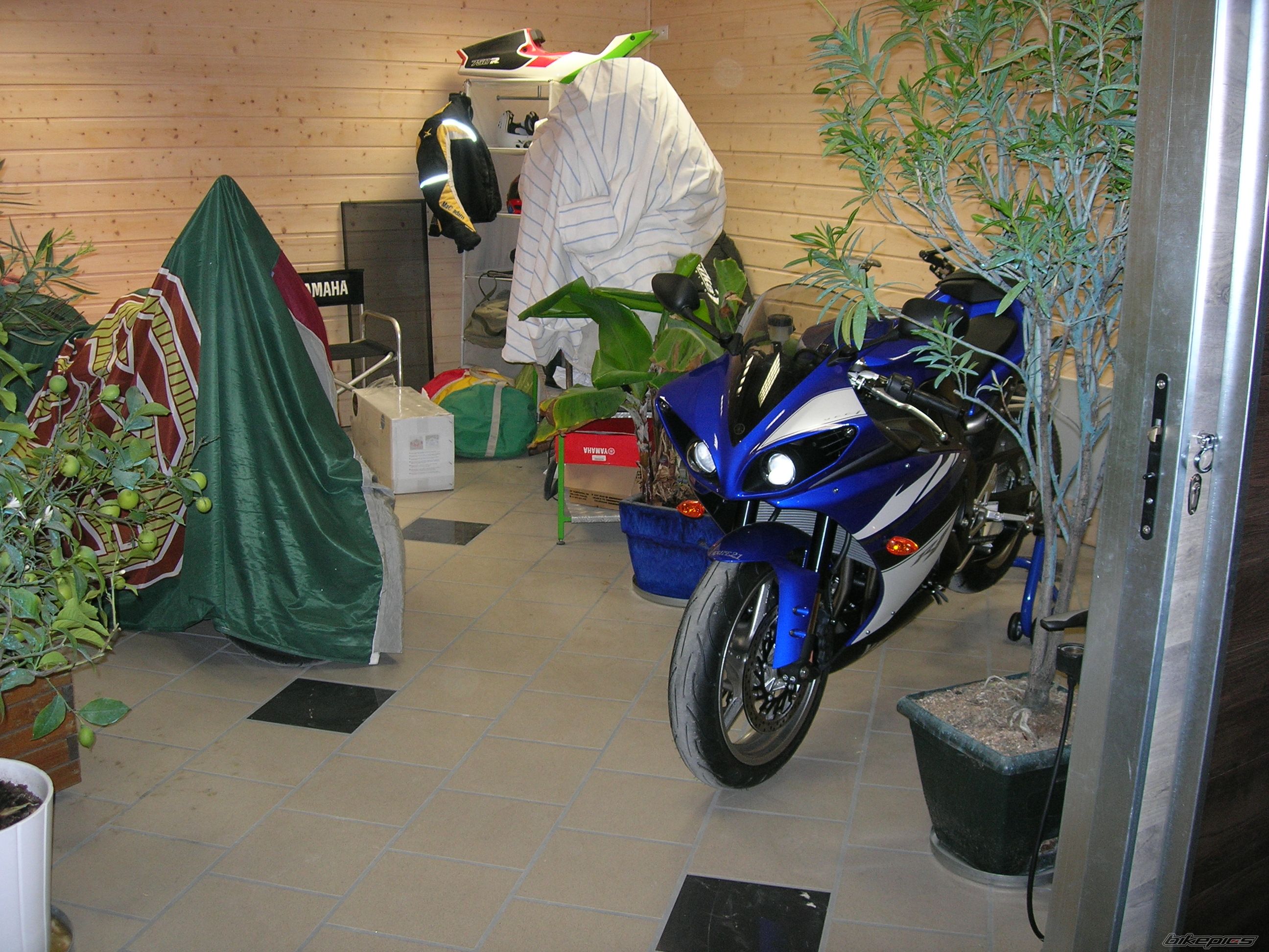 Photo 1614549