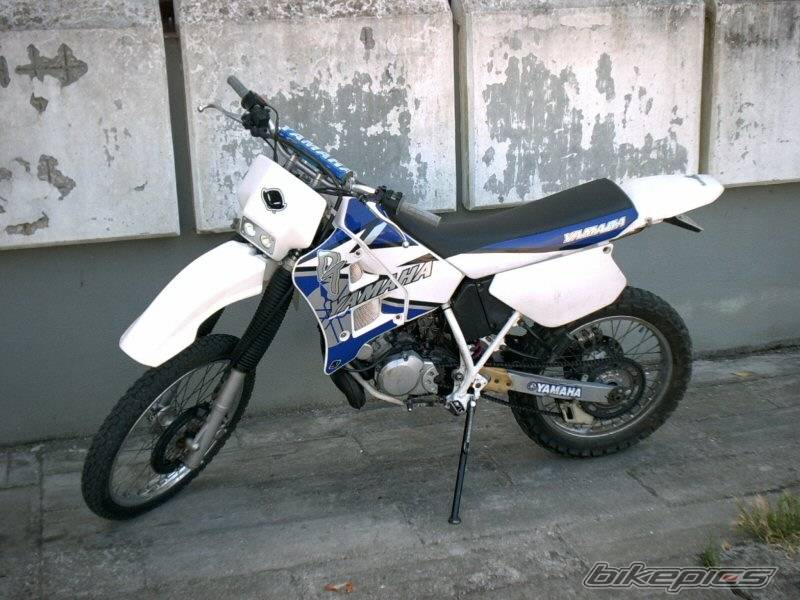 Photo 161461