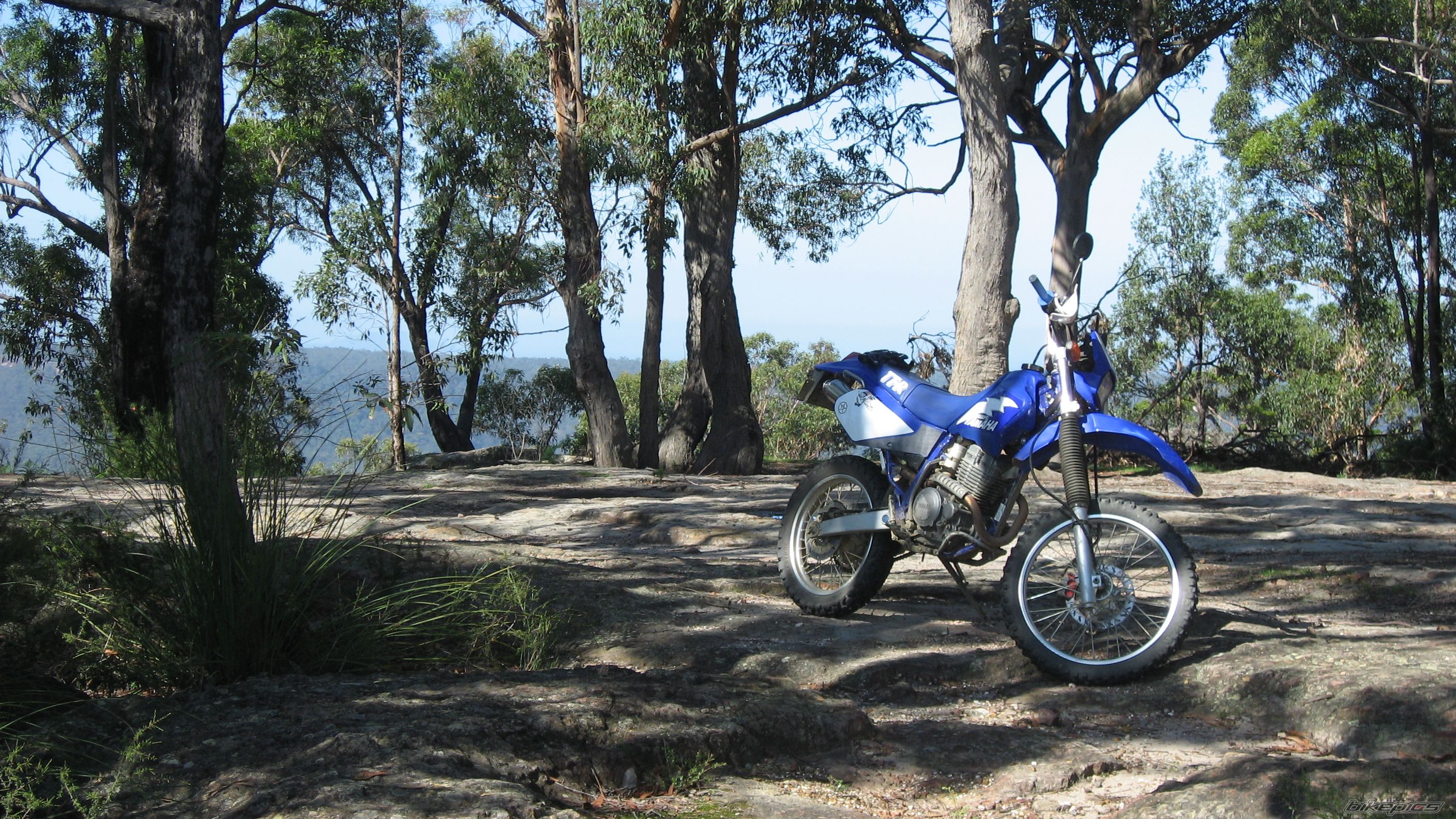Bike Photo 1614653