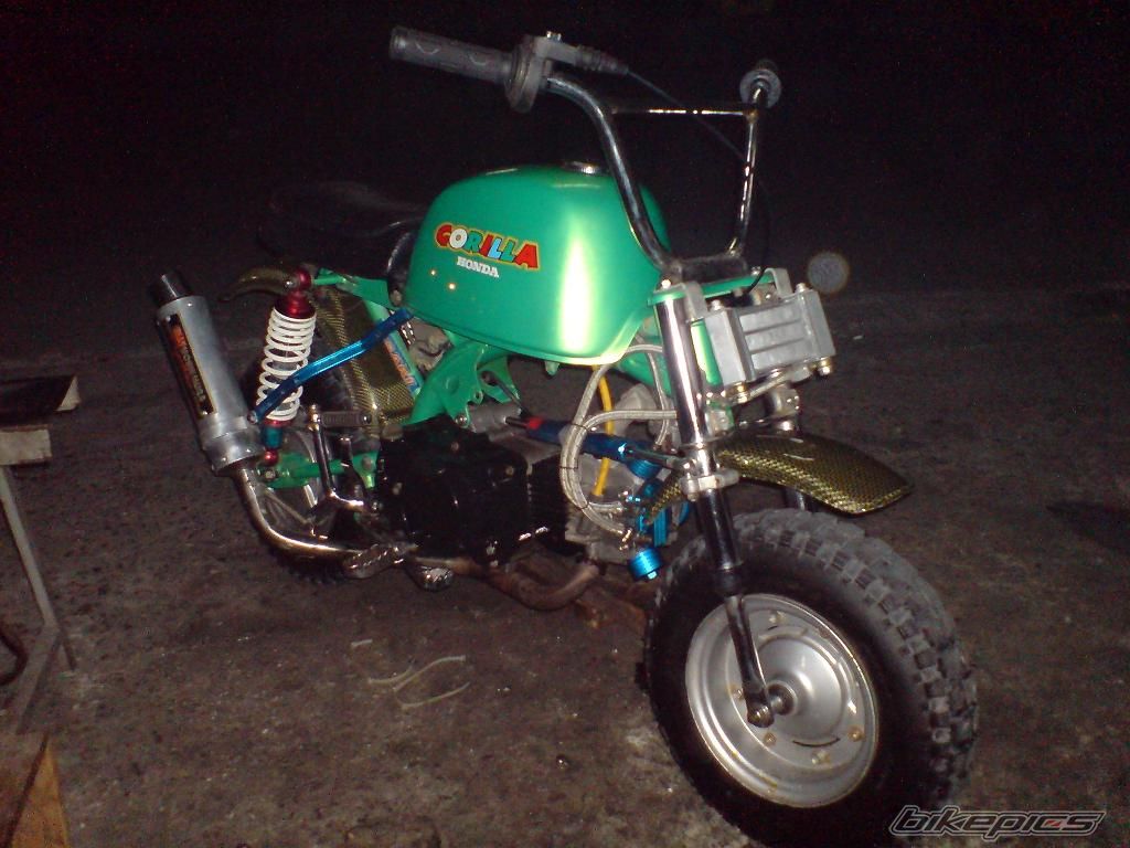 Photo 1614676
