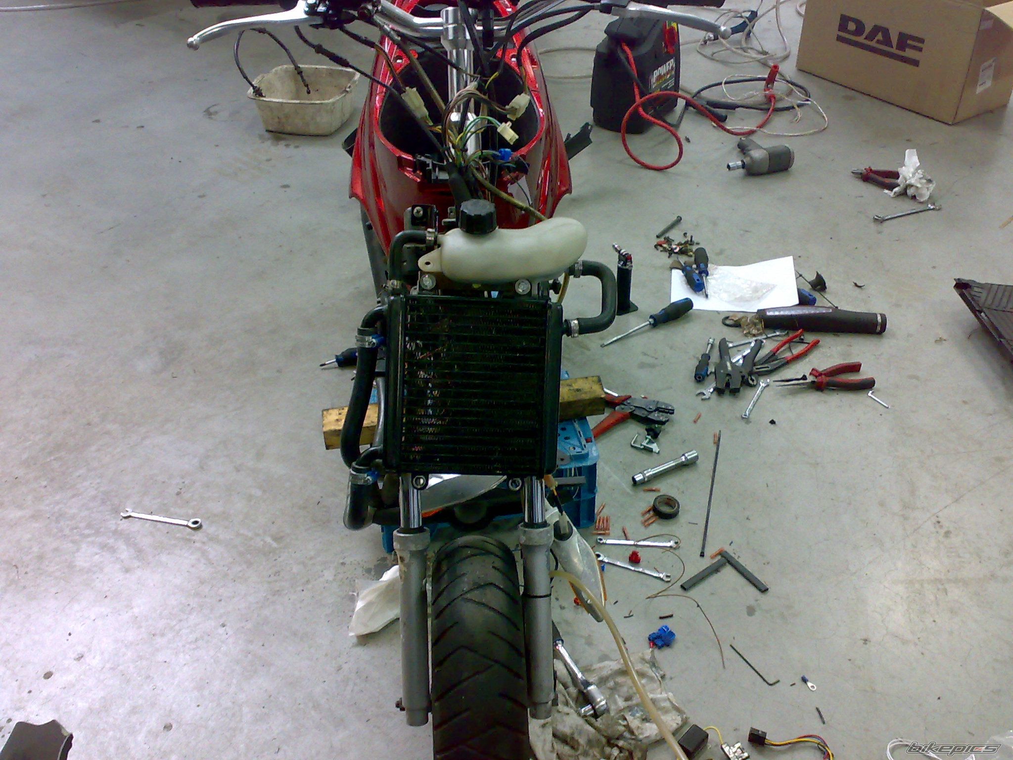 Photo 1615018