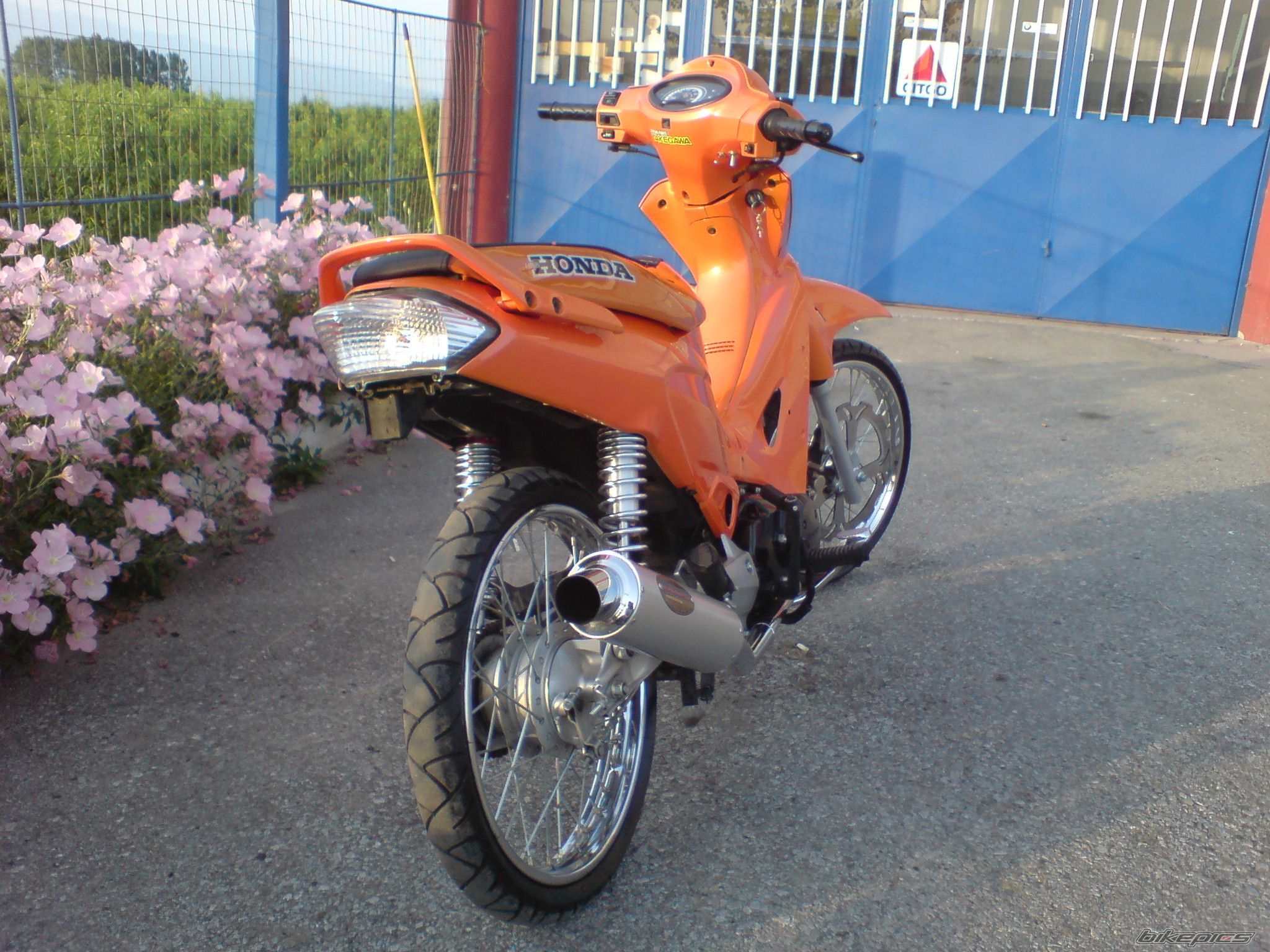 Photo 1615051
