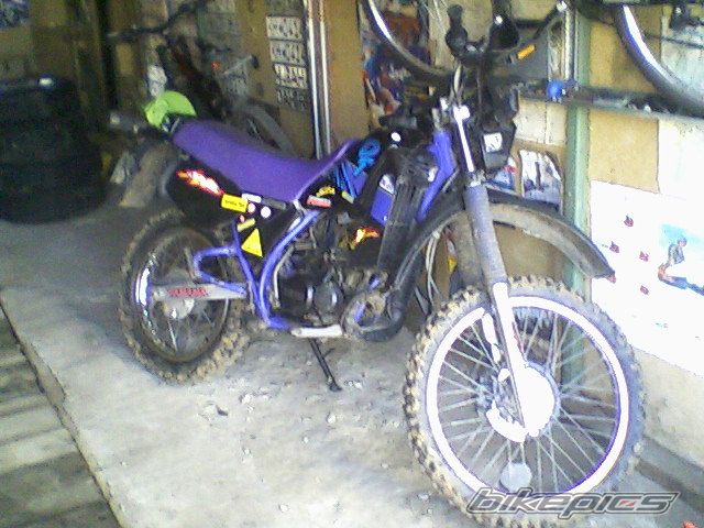Photo 1615088