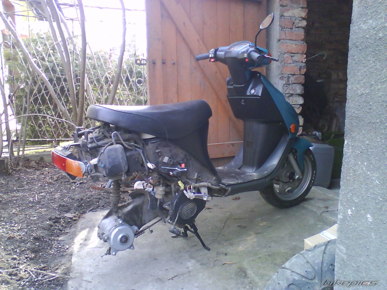 Photo 1615234