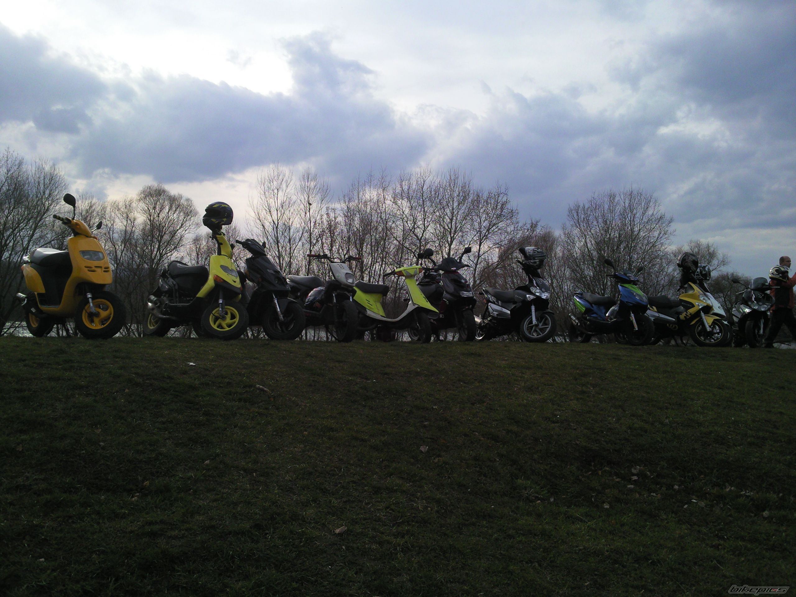 Photo 1615313