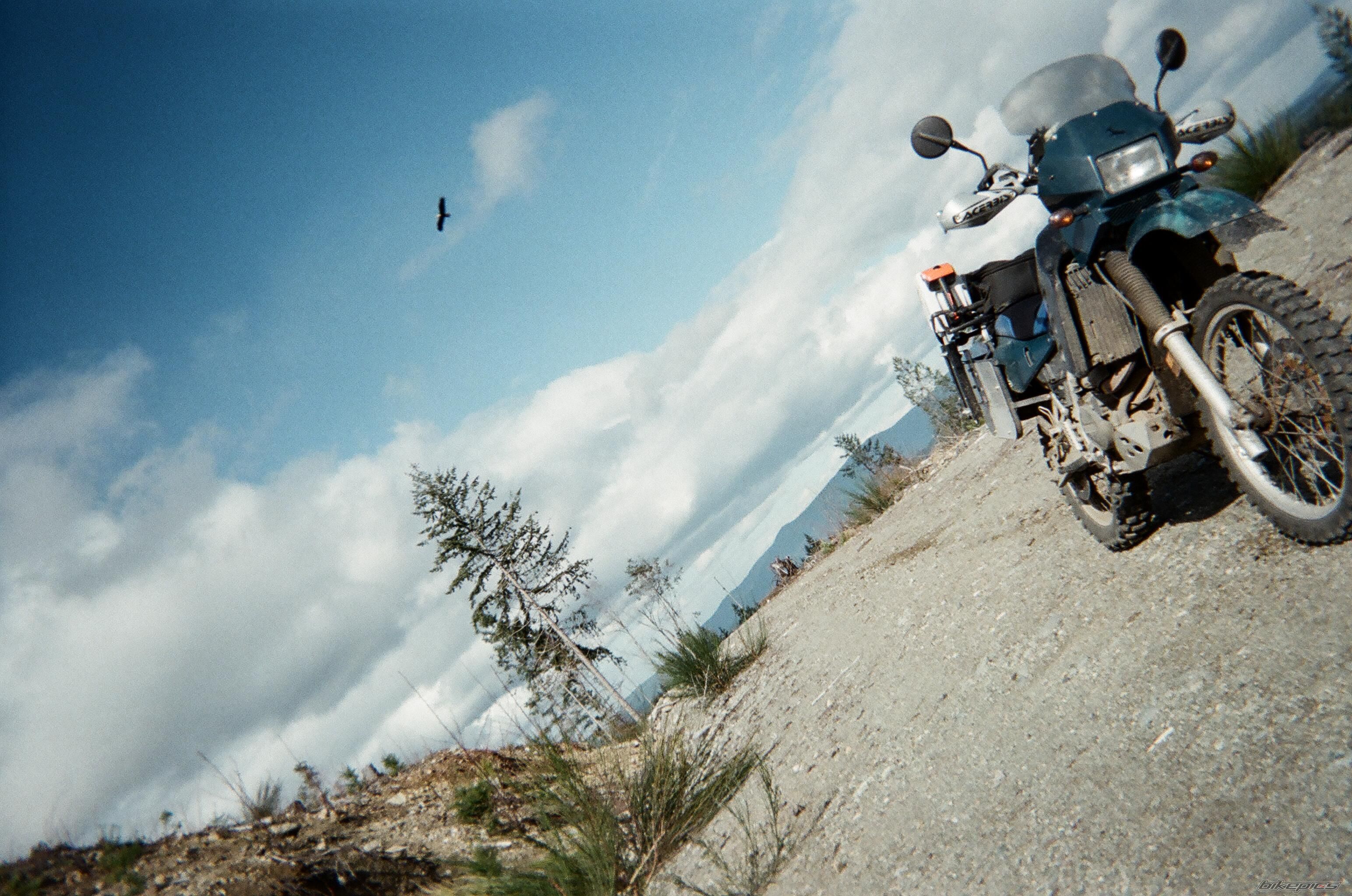 Photo 1615484