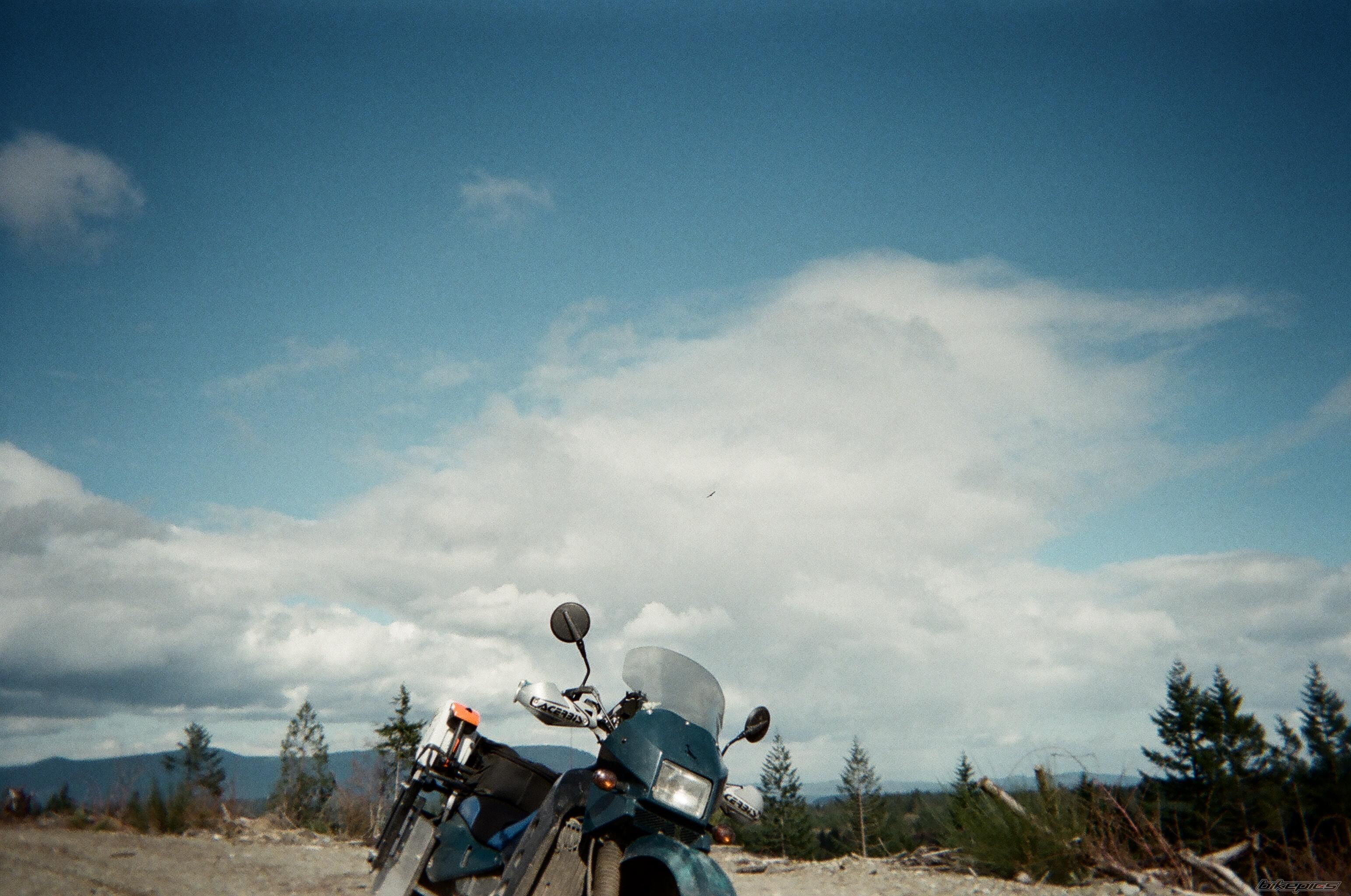 Photo 1615490