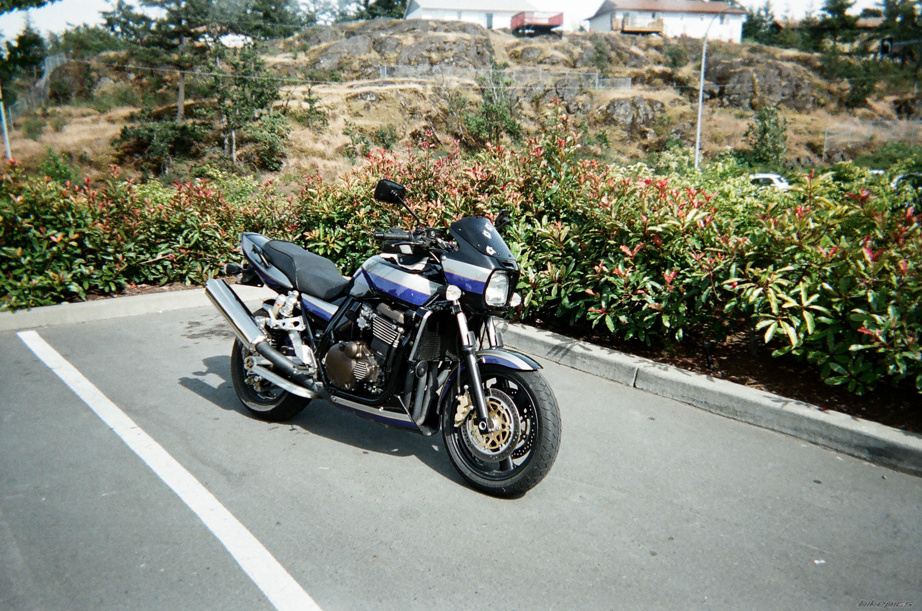 Photo 1615496