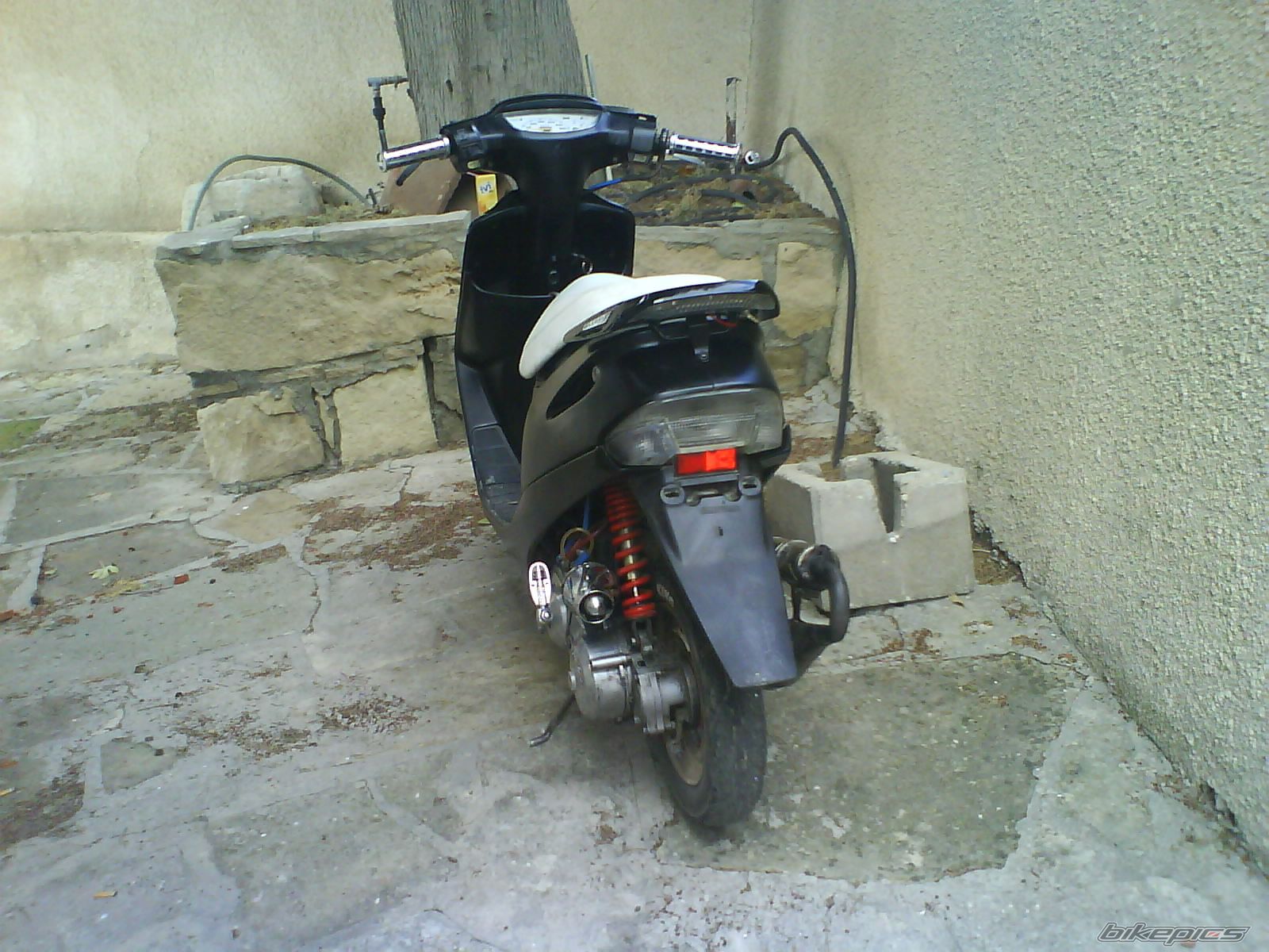 Photo 1615588