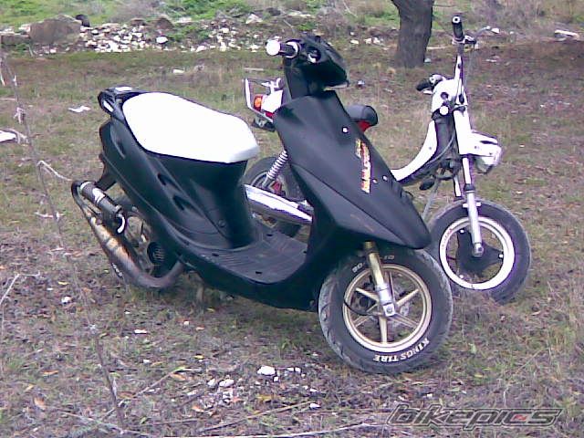Photo 1615603