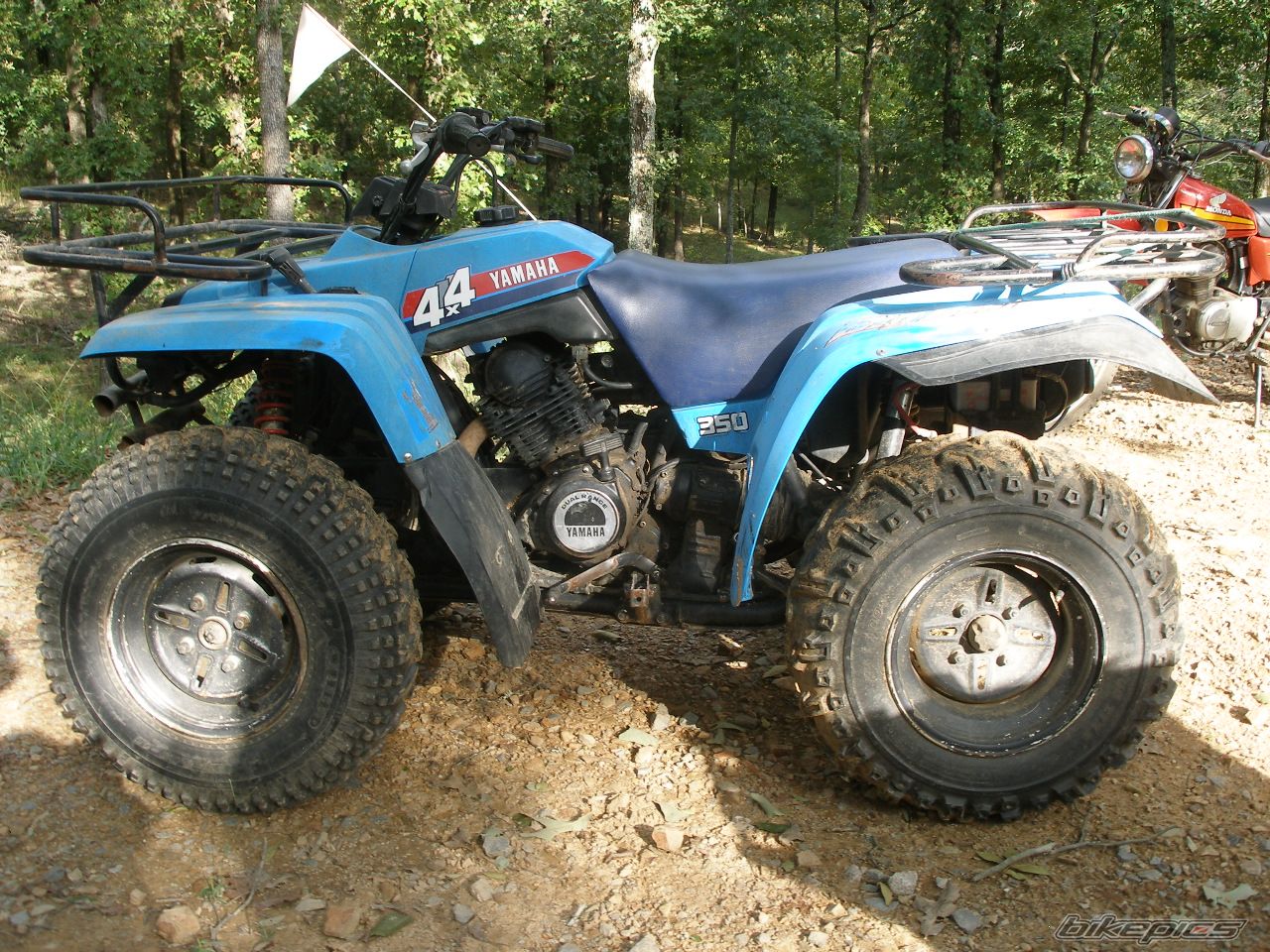 Photo 1615646