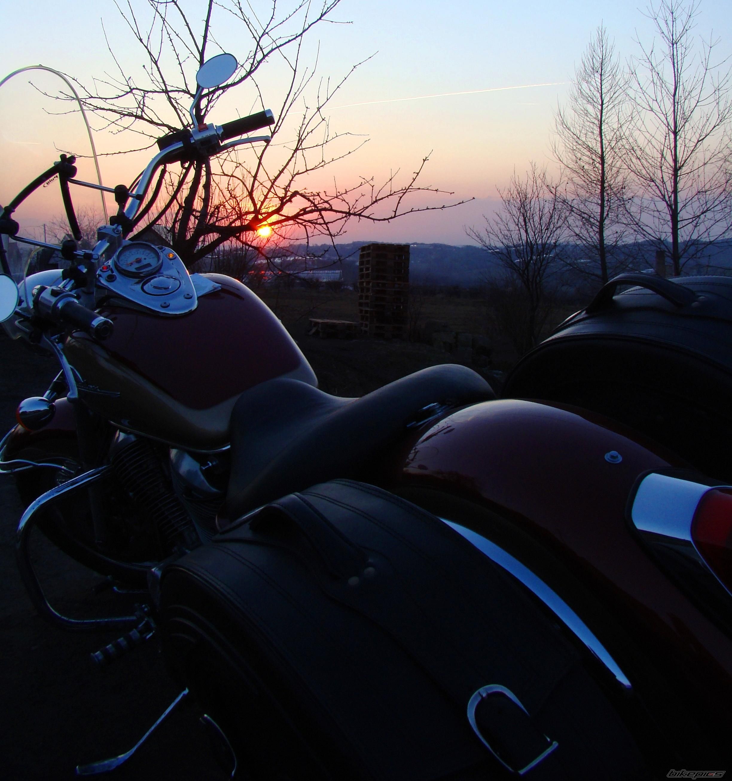Photo 1615651