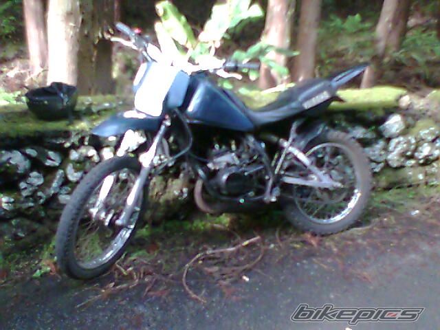 Photo 1615683