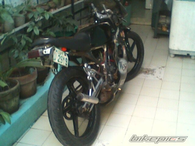 Photo 1615695