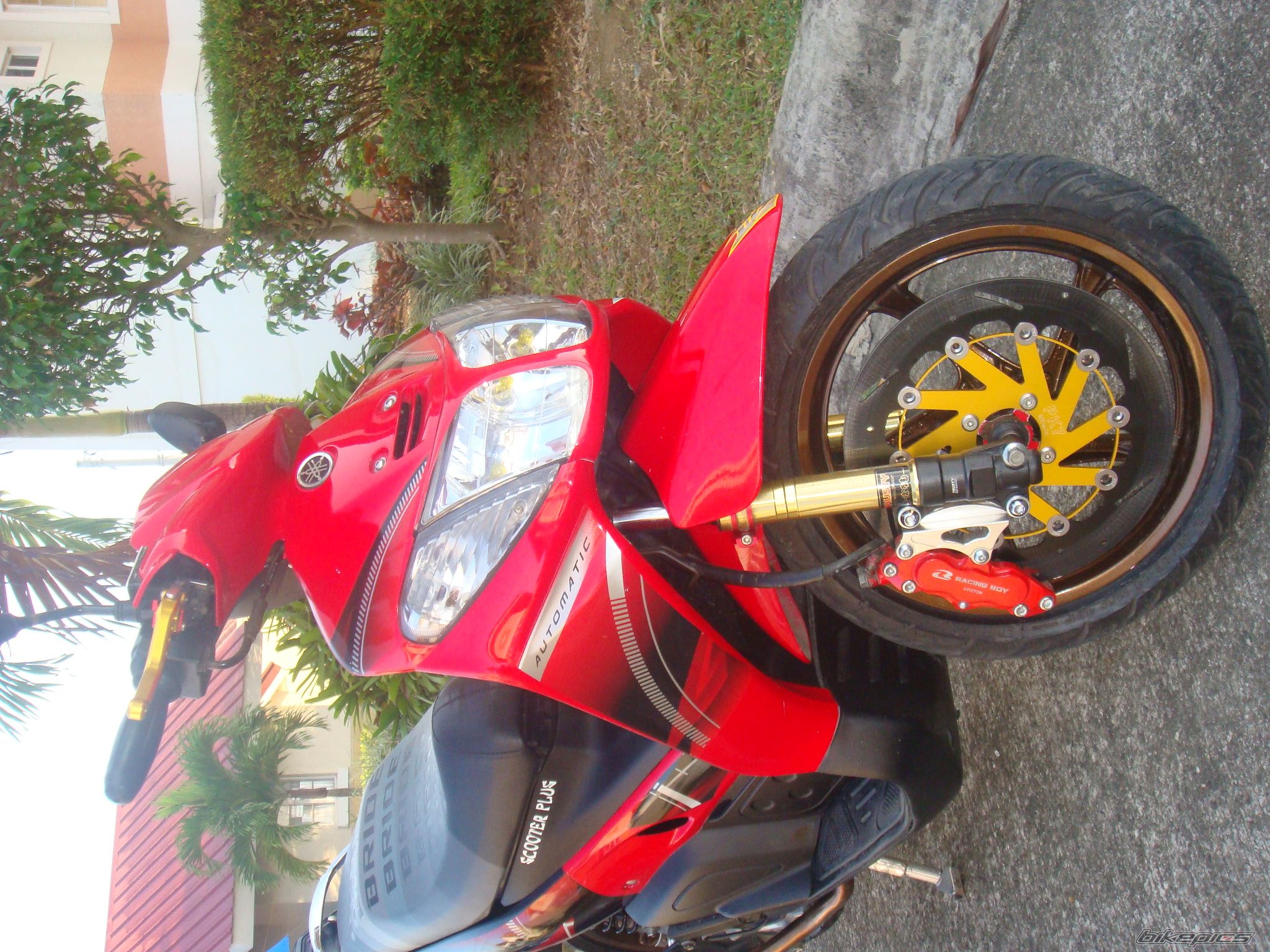 Photo 1615727