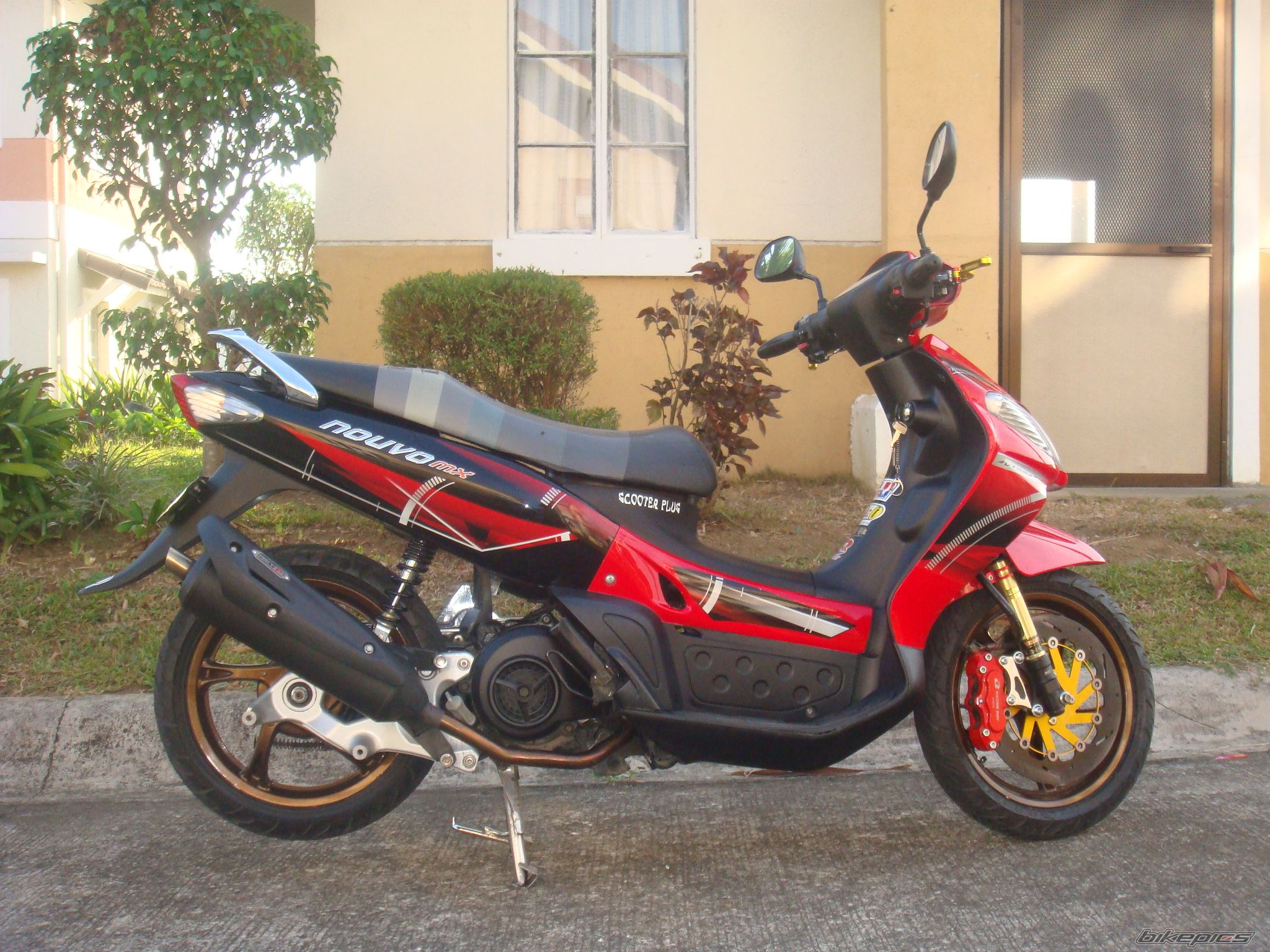 Photo 1615753