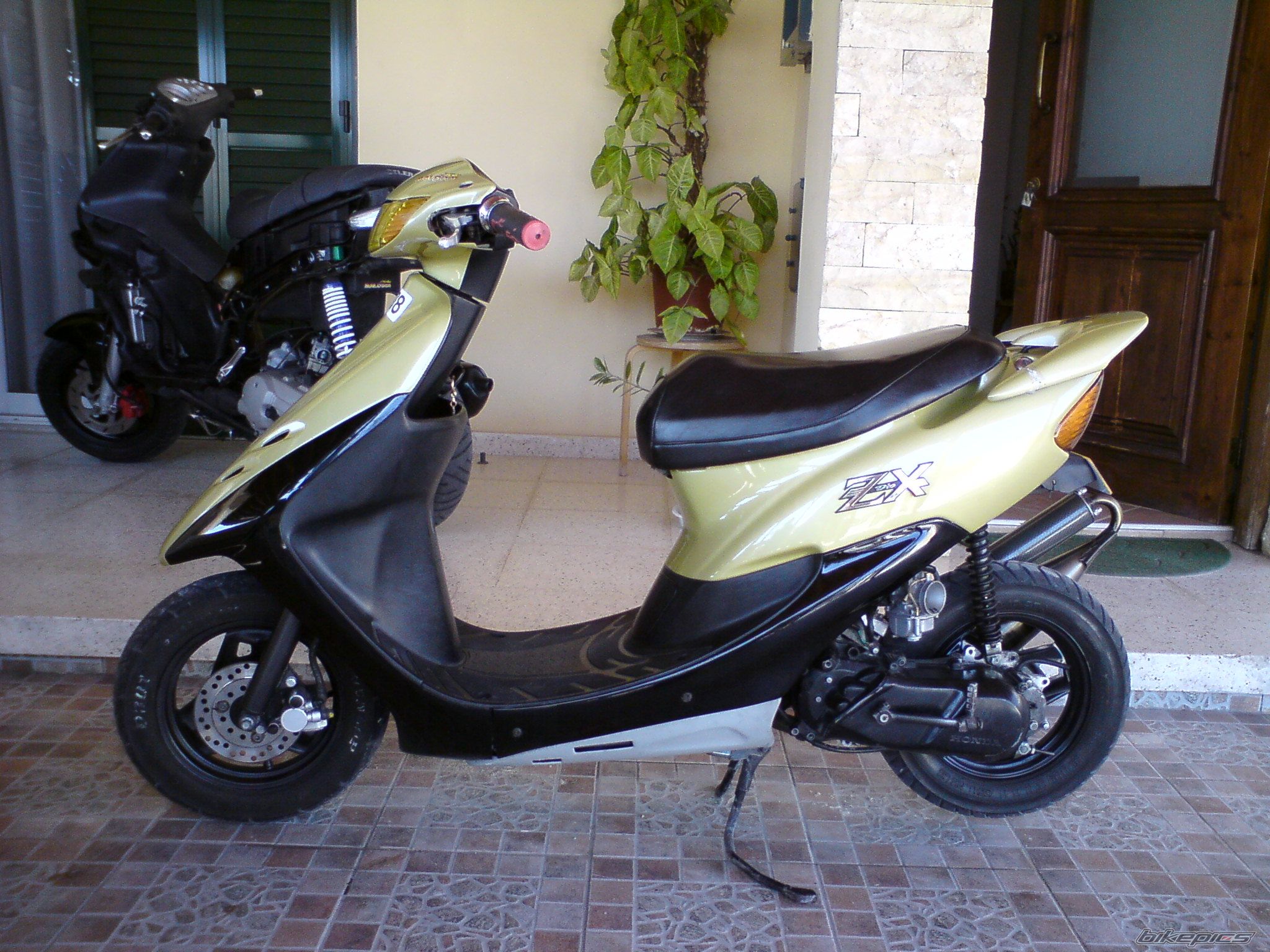 Photo 1615849