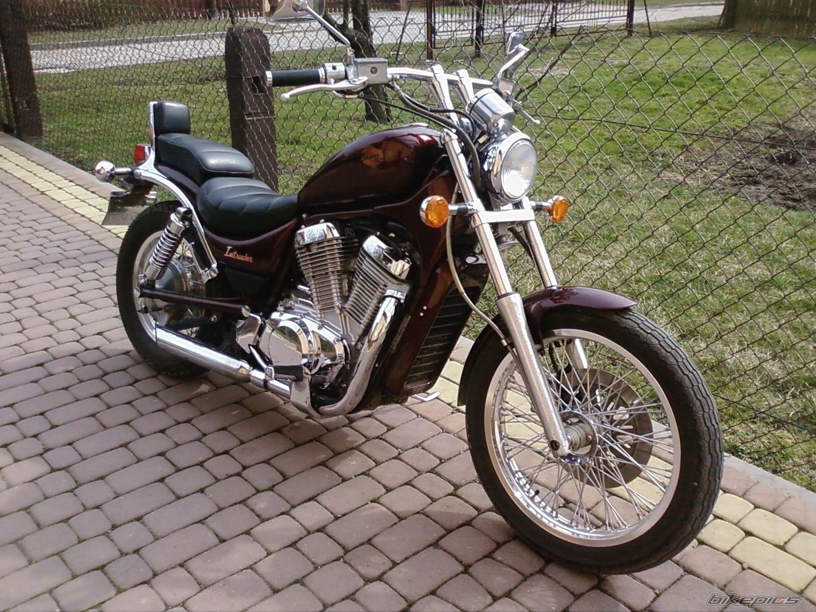 Photo 1615965