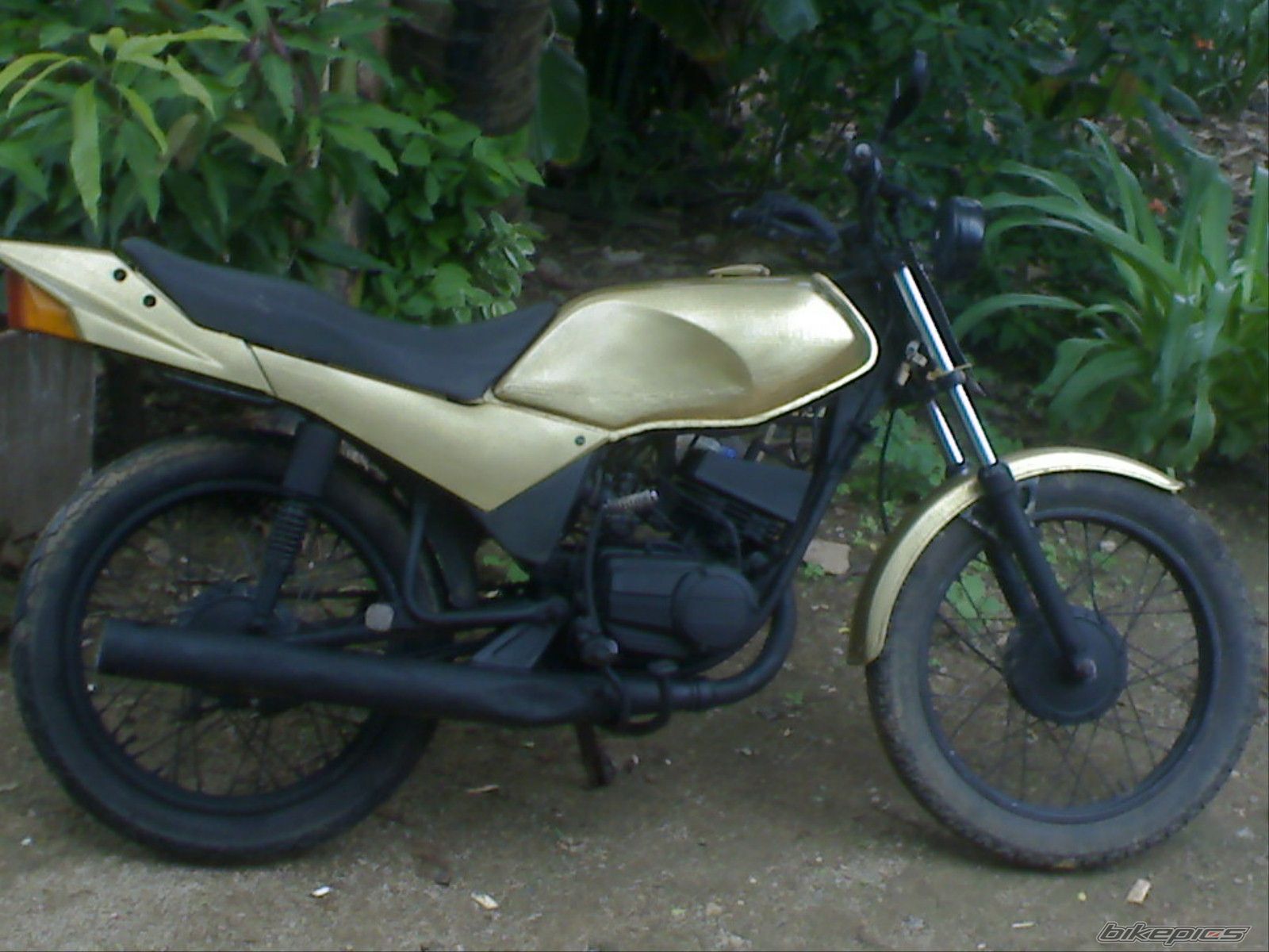Photo 1615972