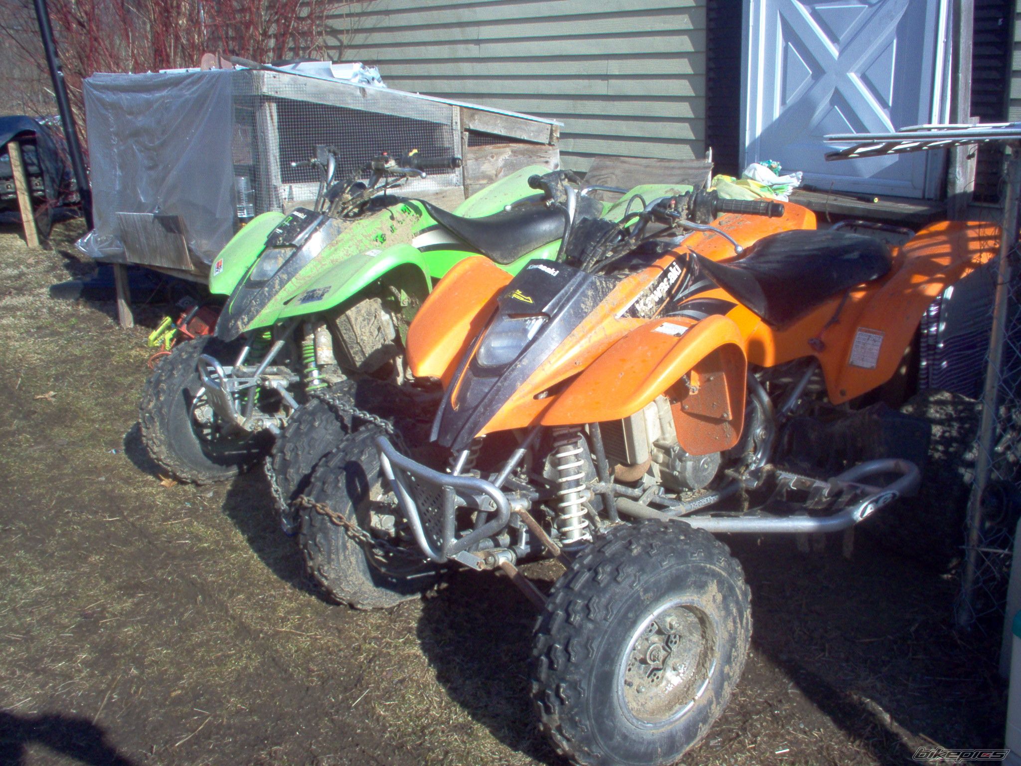Photo 1616021
