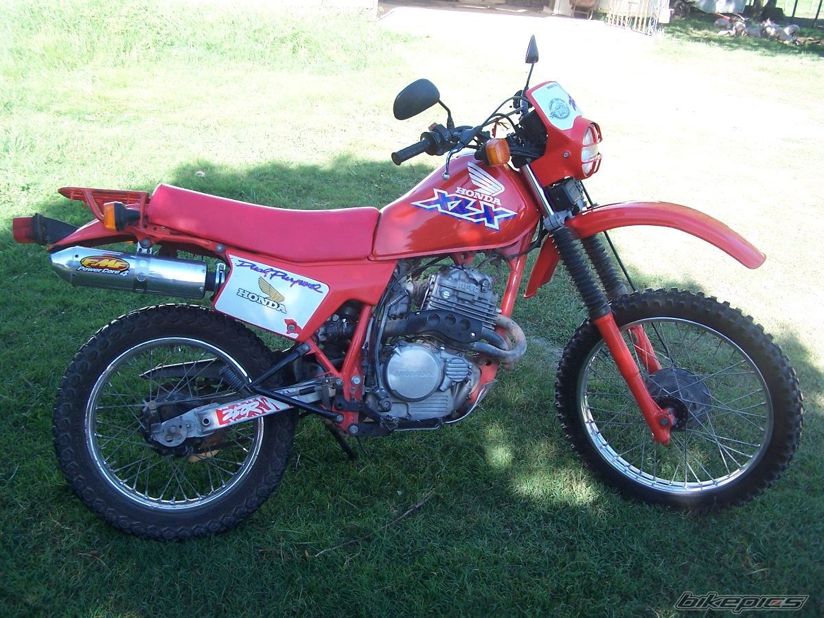 Photo 1616156